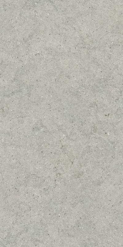 Форум Стоун Сильвер 60x120