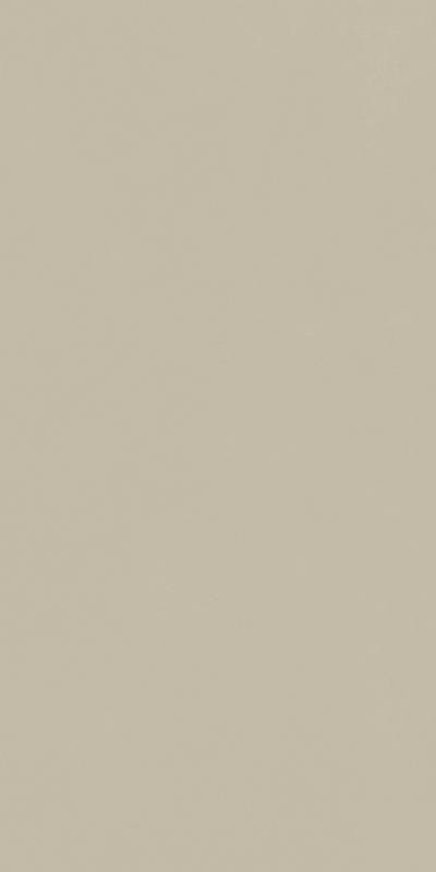 Форум Слим Дезерт 60x120